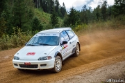 ralli