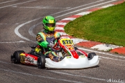 rotax